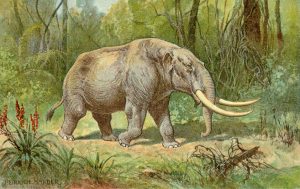 Künstlerische Darstellung eines Mastodons von Heinrich Harder, ca. 1920 
